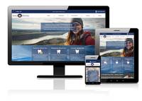 Cover image for King Dental